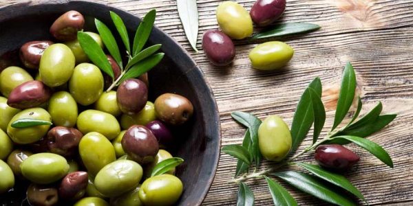 variedades-de-aceitunas-para-el-mejor-aceite